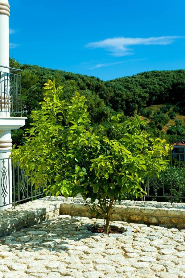 Natura Luxury Suites Parga Bagian luar foto
